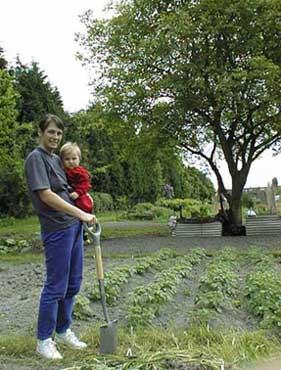 Perne Road allotment site