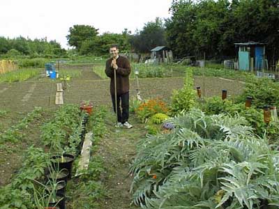 Onions and beans grown in pots for Christian Aid's "Timeline Garden"