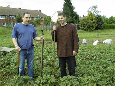 Plot holders amongst the early potatoes
