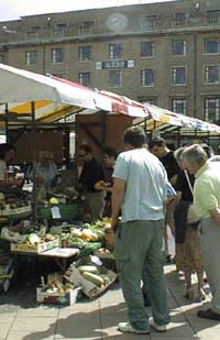 Cambridge Allotments Network stall in front of the guildhall.