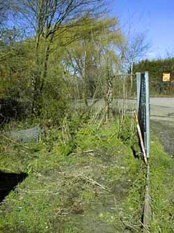 No_rubbish_at_Burnside_entrance.jpg (48819 bytes)