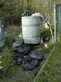 Rubbish_at_Burnside_entrance.jpg (45645 bytes)
