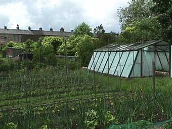 moorhse.jpg (23427 bytes)