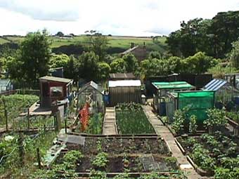 neatone.jpg (29046 bytes)