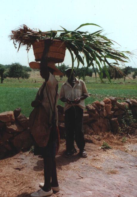 MilletBasket50.JPG (49684 bytes)